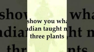 The Lost Ways II Survival Book (07) #Shorts