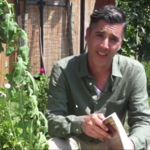 The Lost Ways  To Heal Diseases