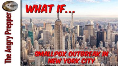 What If... Smallpox Outbreak In New York City