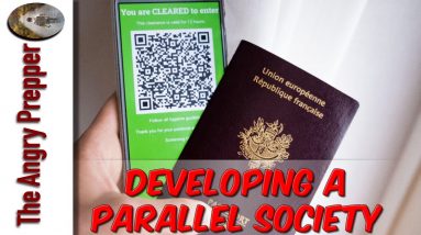 Developing A Parallel Society