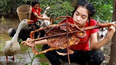 Survival  Skills |Bring goose for food in forest-Grilling goose hot spicy eating delicious