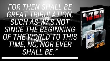 2022 Update: Alive After The Fall 3