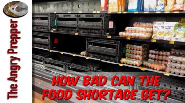 How Bad Can The Food Shortage Get?