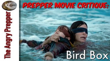 Prepper Movie Critique: Bird Box