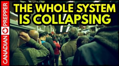 This is Terrifying... What is Really Going On?