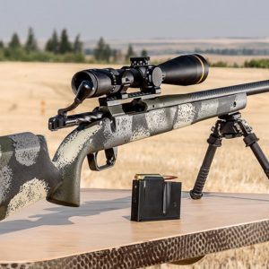 TOP 10 BEST BOLT ACTION RIFLES 2022