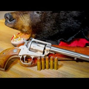 TOP 5 BEST BEAR DEFENSE GUNS OF 2022