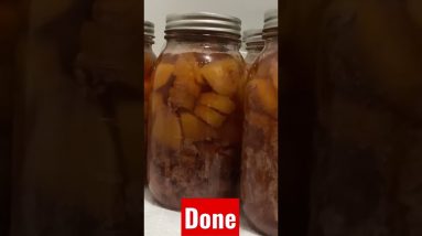 Beef Stew Canned