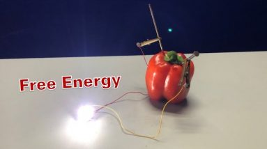 Experiment: Using Bell Pepper to make Free Energy Generator