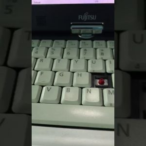 Last Shelter Survival Guru