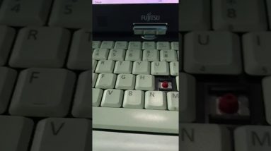 Last Shelter Survival Guru