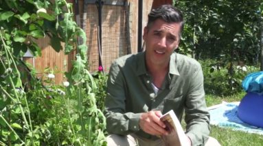 The Lost Ways Survival Book Review