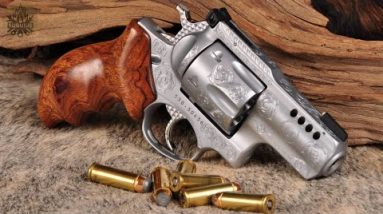 TOP 6 BEST BEAR DEFENSE GUNS 2022 (Shotguns, Handguns & Rifles)