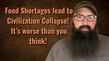 Food Shortages lead to Civilization Collapse!