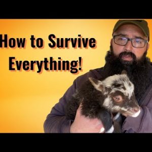 How to Survive Everything!