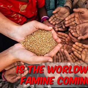 Is The Worldwide Famine Coming?