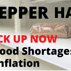 Prepper Stock Up | Food & Non-Food Preps | Inflation and Food Shortages
