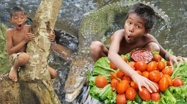 Primitive Cooking Egg Crocodile In The Forest For Food - Survival Skills