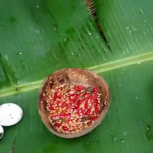 survival in the forest.#cooking eggs in the soil with coconut water