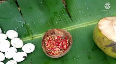 survival in the forest.#cooking eggs in the soil with coconut water