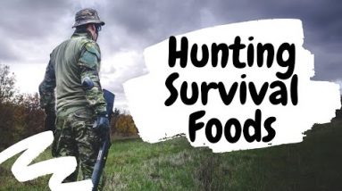 Things You Should Know About Hunting For Survival Food