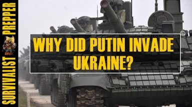 Why Did Putin Invade Ukraine? (a Geographical Analysis)