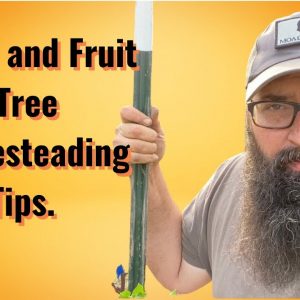 Apple and fruit tree homestead tips.