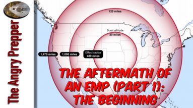 The Aftermath Of An EMP Attack (Part 1): The Beginning