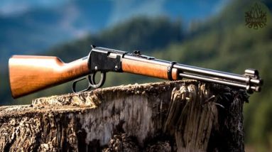 TOP 7 BEST .17 HMR RIFLES 2022