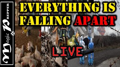 Why You Need To Keep Prepping While It All Falls Apart | LIVE