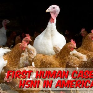 First Human Case Of H5N1 In America