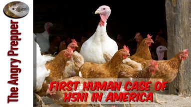 First Human Case Of H5N1 In America