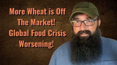 More Wheat is off the Market. Global Food Crisis Getting Worse!
