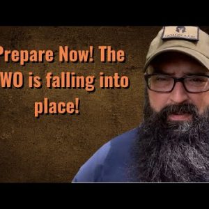 Prepare Now! The NWO is falling into place!