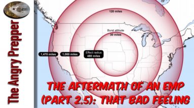 The Aftermath Of An E.M.P. Attack (Part 2.5)