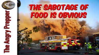 The Sabotage Of Food Is Obvious