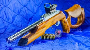 Top 10 Next Level .22 LR Rifles 2022