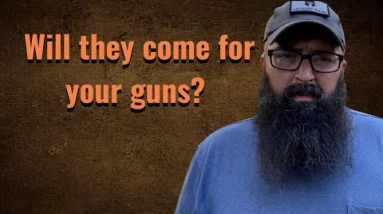 Will they come for your guns?