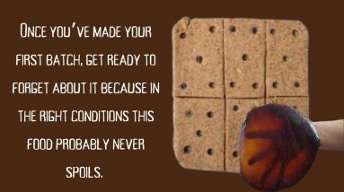 How To Make US Doomsday Ration at Home | Lost Superfoods Book | Doomsday Ration Food