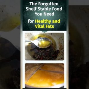 126 forgotten survival foods | “The Lost Superfoods”| Limited stock only just 27 $ Now #usa #food