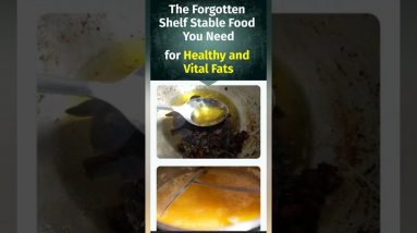 126 forgotten survival foods | “The Lost Superfoods”| Limited stock only just 27 $ Now #usa #food