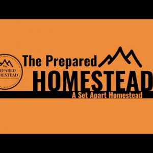 Live Stream!! Fuel Prices are Effecting the Supply Chain