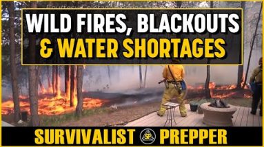 Wild Fires, Blackouts & Water Shortages - Coming This Summer to a Town Near You