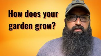 How does your garden grow?