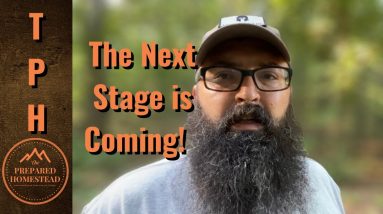 Morning Walk - The Next Stage is Coming!