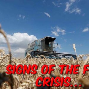 Signs Of The Food Crisis