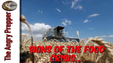 Signs Of The Food Crisis