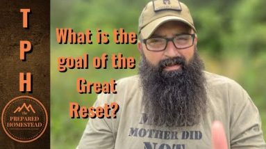 What is the goal of the Great Reset?