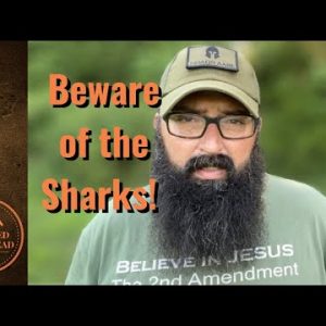 Beware of the Sharks