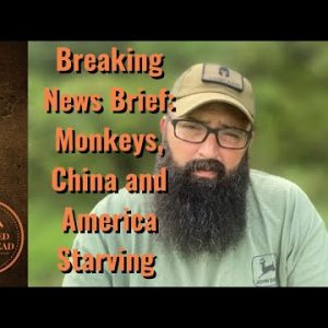 Breaking News Brief! Monkeys, China  and American Starving!